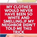 My Clothes Would Never Have Been So White and Smelling, If My Neighbor Didn’t Told Me This Trick