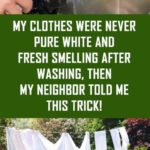 My Clothes Were Never so White and Fresh After Washing Until My Neighbor Told Me This Trick