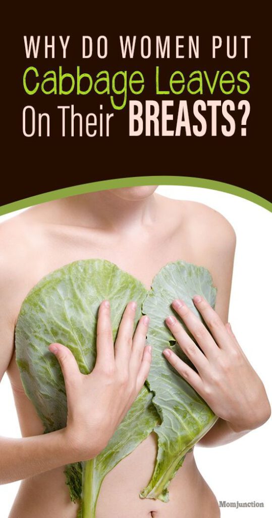 Women Are Putting Cabbage Leaves On Their Breasts – The Reason Will Make You Happy
