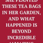 She Planted These Tea Bags In Her Garden, and What Happened Is Beyond Incredible