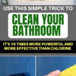 Use This Simple Trick to Clean Your Bathroom! It’s 10 Times More Powerful and More Effective Than Chlorine!