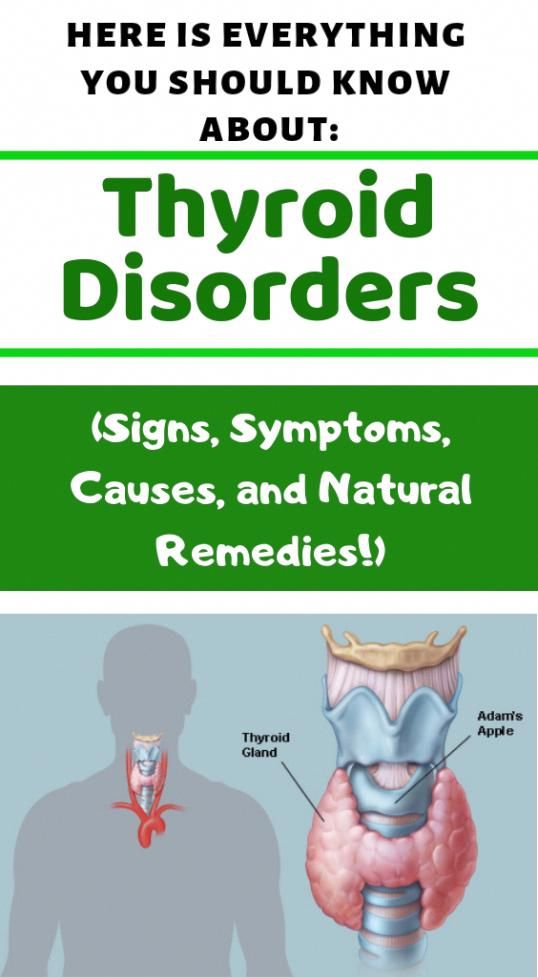 Here Is Everything You Should Know about Thyroid Disorders! (Signs, Symptoms, Causes, and Natural Remedies!)