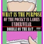 Girls Do You Know What Is The Purpose of The Pocket In Your Underwear, Bobble On The Hat..??