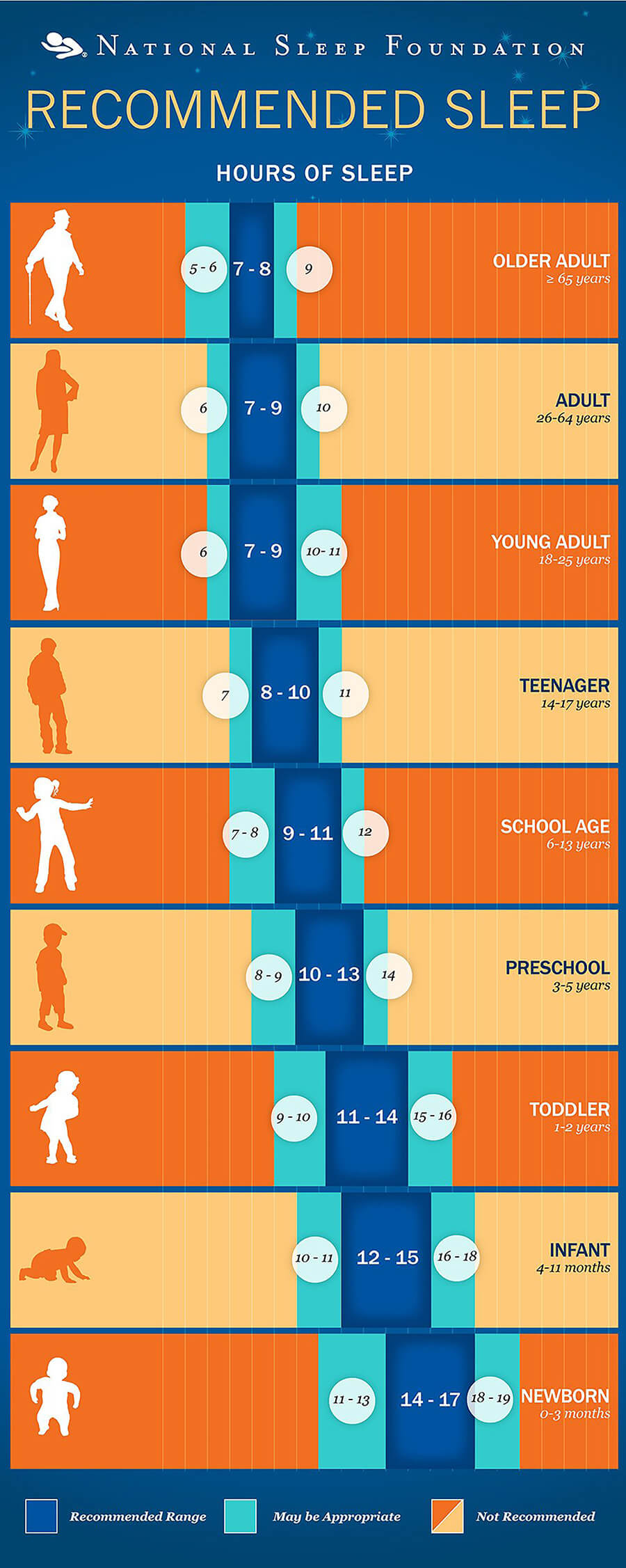 How Much Sleep Do You Really Need Each Night?