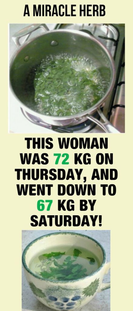 The Miracle Herb: This Woman Was 72 Kg On Thursday, and Went Down to 67 Kg By Saturday