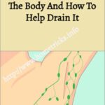 16 Signs There’s A Toxic, Congested Lymph In The Body And How To Help Drain It