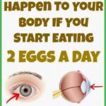 Eat 2 Eggs a Day and These 9 Things Will Happen to Your Body