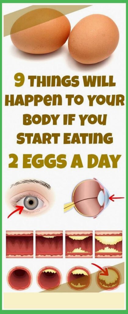 Eat 2 Eggs a Day and These 9 Things Will Happen to Your Body